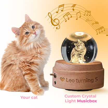 Pawsiebox "Aria" Personalized 3D Laser Engraved Crystal Ball