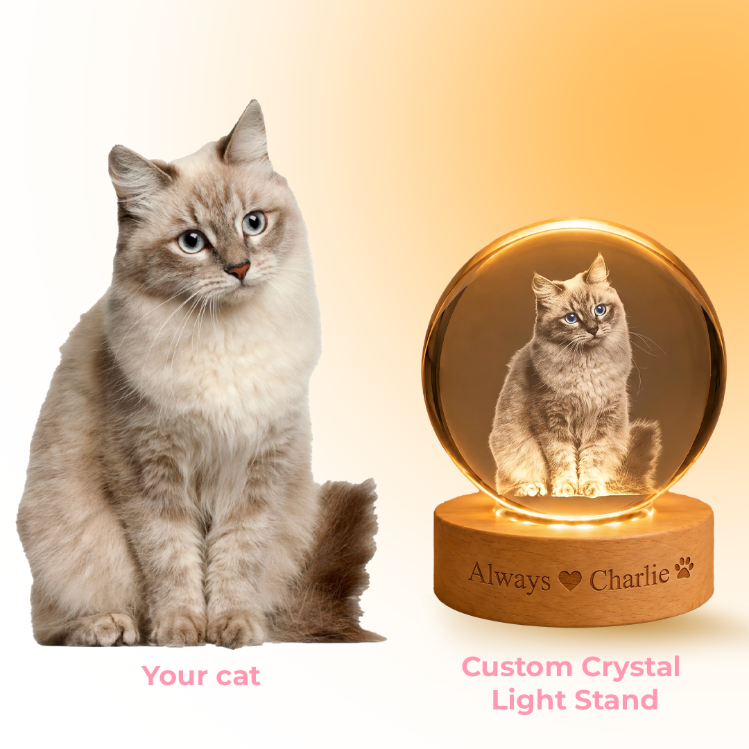 Pawsiebox "Aria" Personalized 3D Laser Engraved Crystal Ball