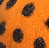Orange Black Dots