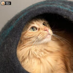 Line Art Cat Cave - Image 8